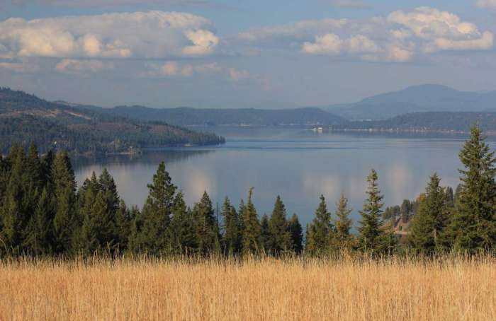 Learn more about Chain Lakes/Harrison Area