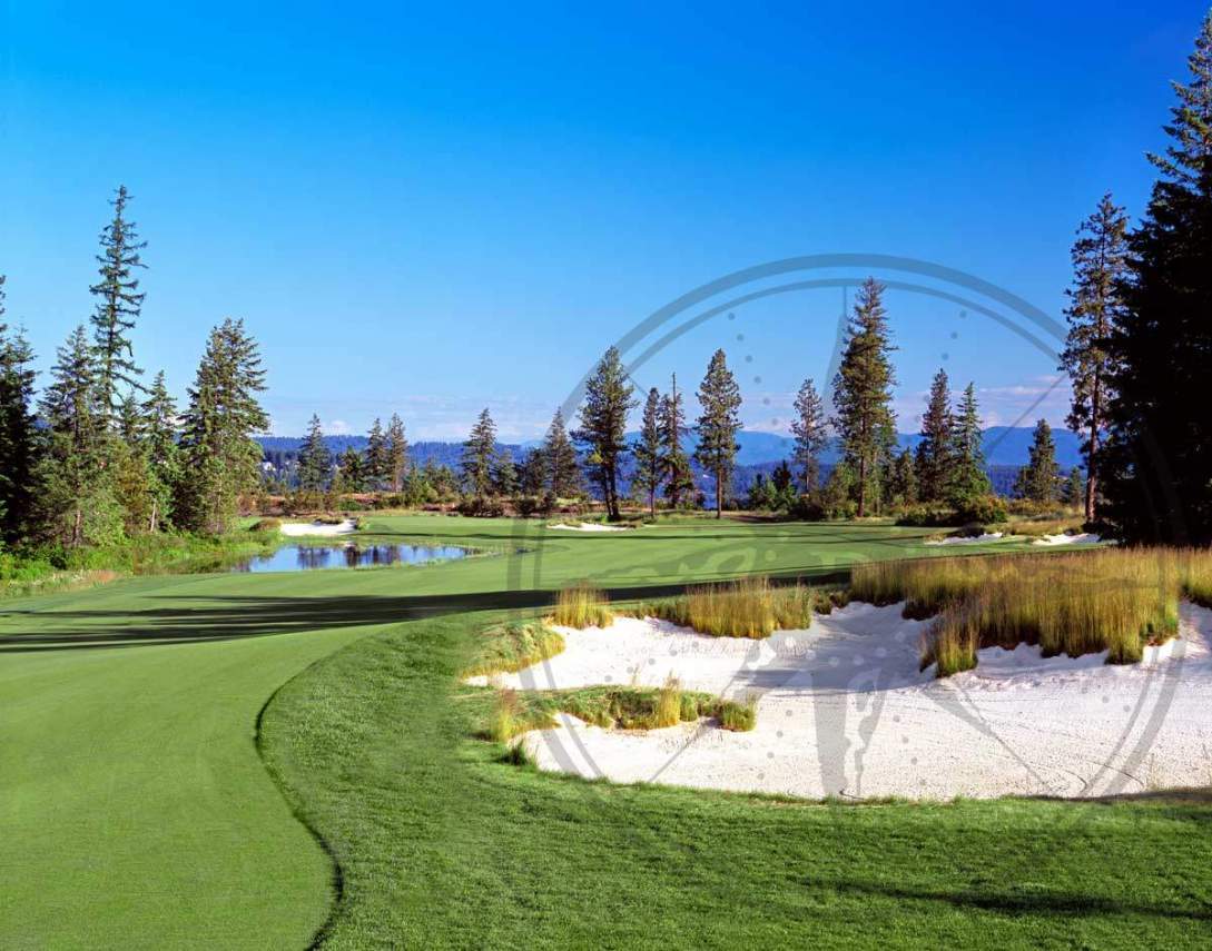 photobook-golf-5_1200_942_65_rmimgwatermark.png_0_0_20_r_b_-10_-10