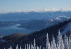 Schweitzer 122107 037.jpg