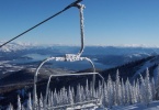 Schweitzer 122107 039.jpg